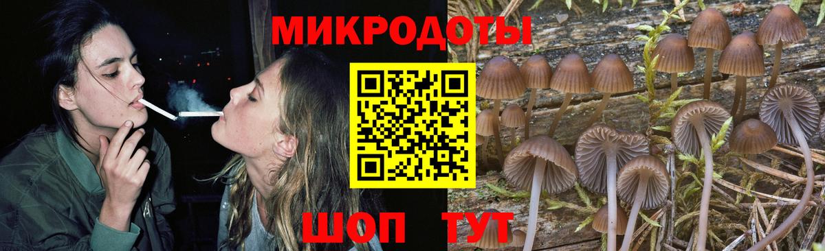 Галлюциногенные грибы Magic Shrooms  Псилоцибиновые грибы мицелий  Губкинский  Вход с VPN 