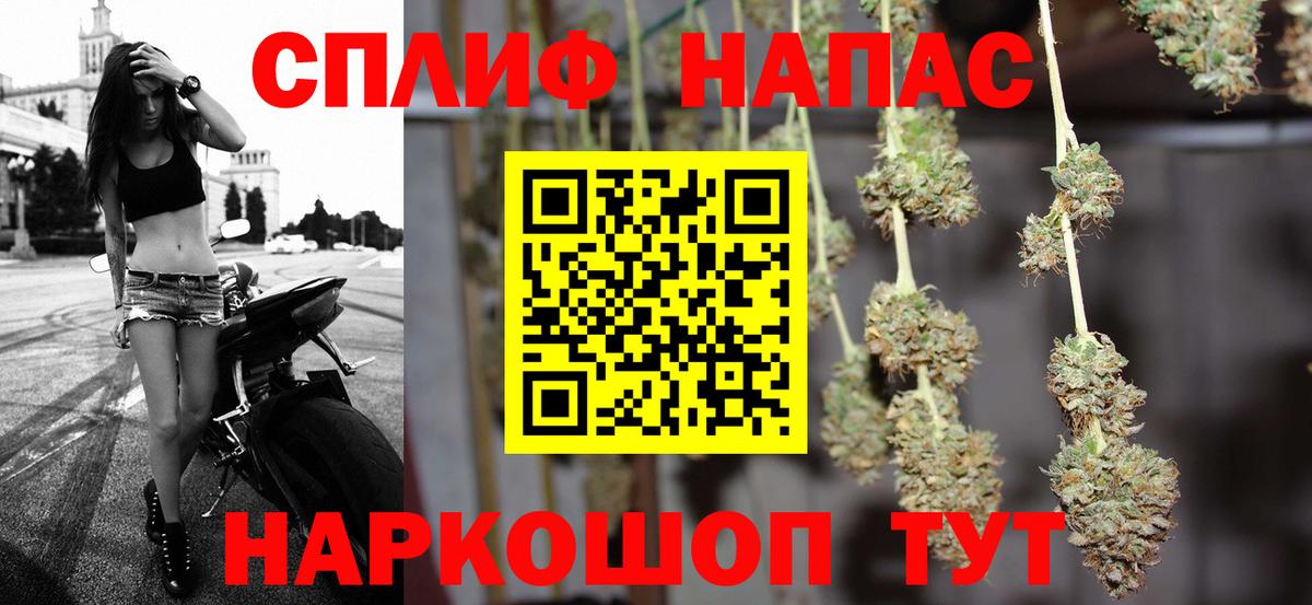 МАРИХУАНА планчик Губкинский